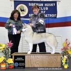 Albert WD Sat4613lw.jpg