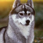 Night8578C HDSTlw.jpg