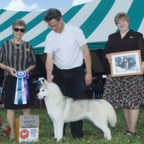 Snowy BOW 060410sm.jpg